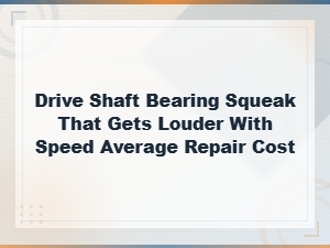 Drive Shaft Bearing Squeak That Gets Louder with Speed Average Repair Cost
