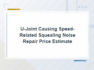 U-Joint Squealing Noise Repair Cost Estimate | Price Guide